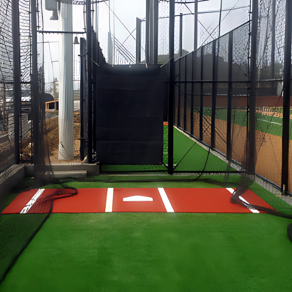 Artificial Turf used in backyard batting cage