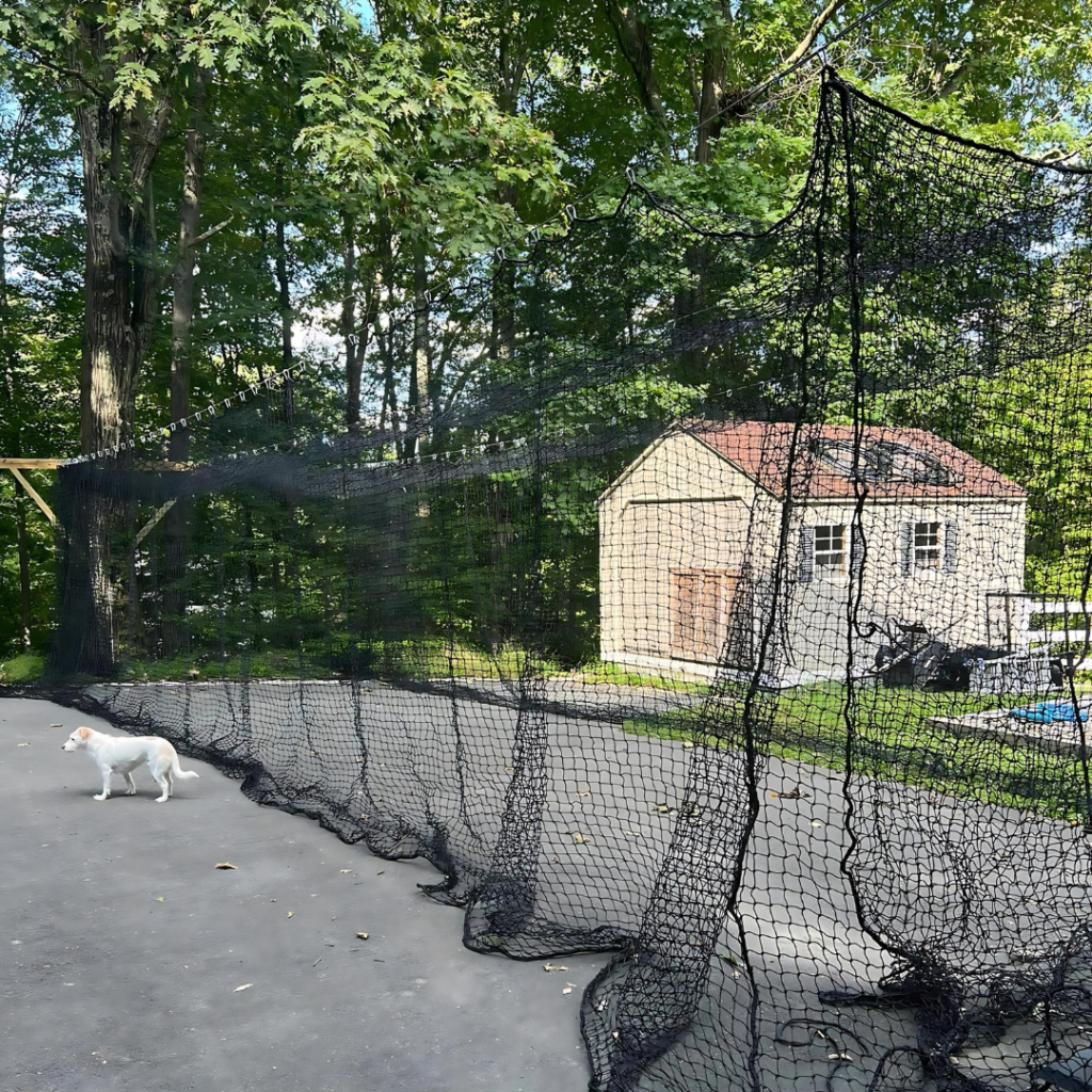 Batting Cage in spring season