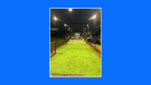 Best lights for backyard batting cage